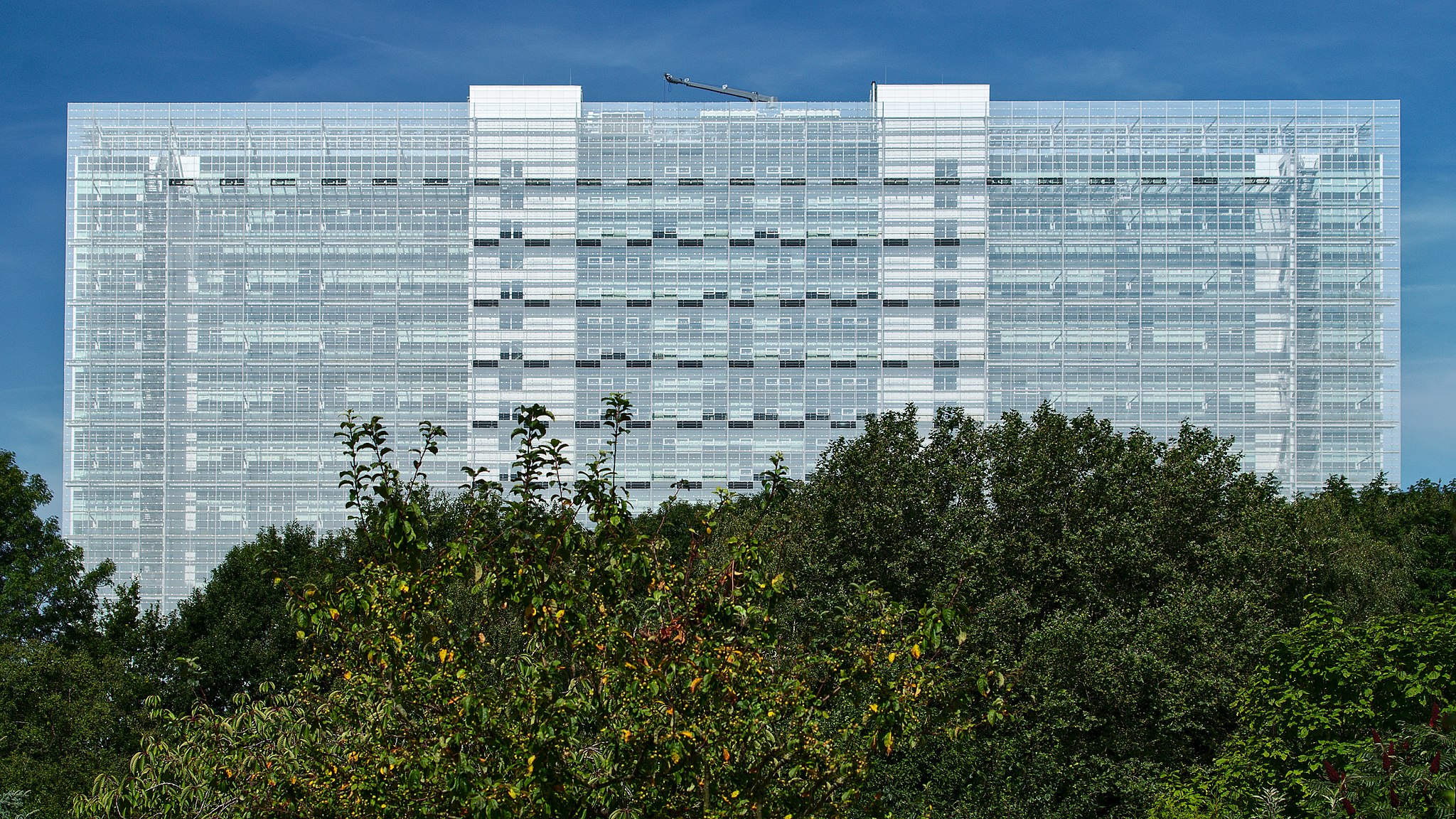 epo-consultation-on-epc-and-pct-epo-guidelines-kluwer-patent-blog