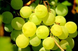 In Spain, on New Year’s there are no fireworks but you eat grapes! So this image means: Happy New Year from Spain!!